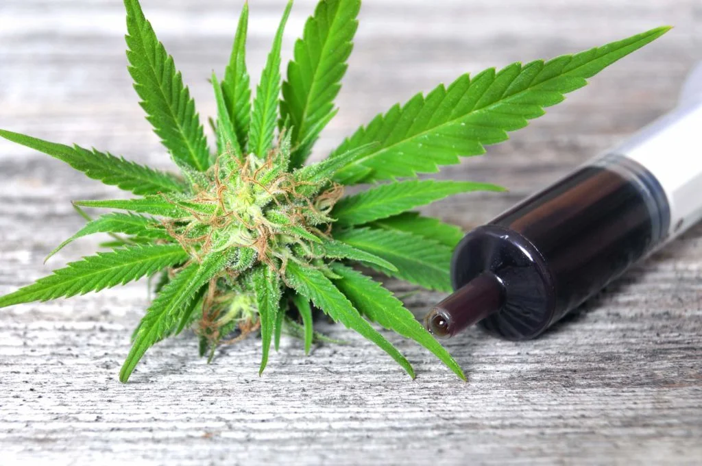 Benefits of RSO Oil